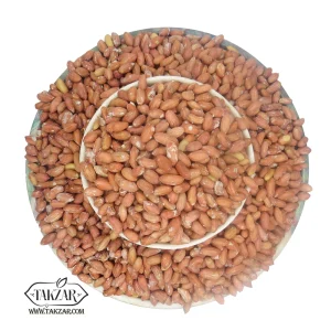 بادام زمینی میانه