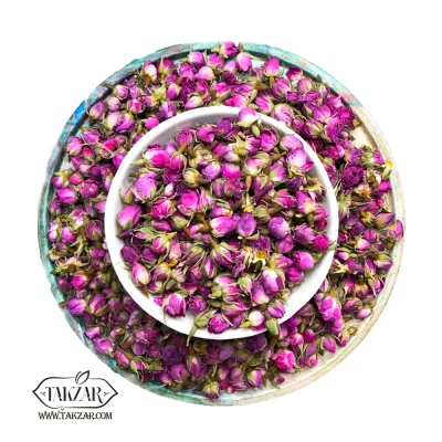 غنچه گل محمدی لاله زار