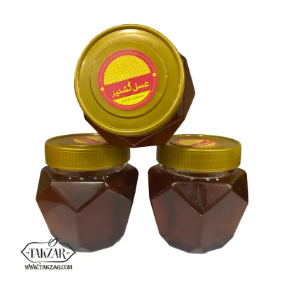 عسل گشنيز شهد 500 گرمی